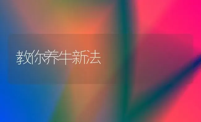 教你养牛新法 | 养殖知识