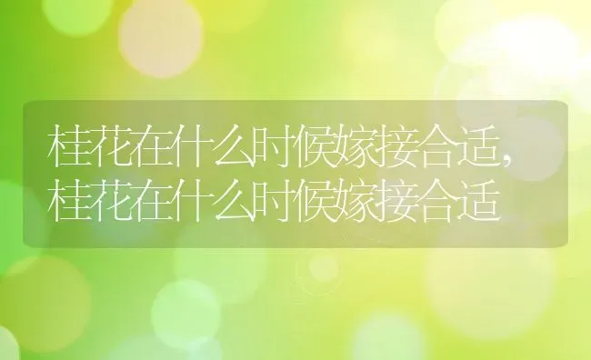 桂花在什么时候嫁接合适,桂花在什么时候嫁接合适 | 养殖科普