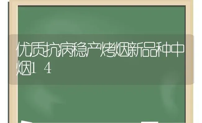 优质抗病稳产烤烟新品种中烟14 | 养殖技术大全