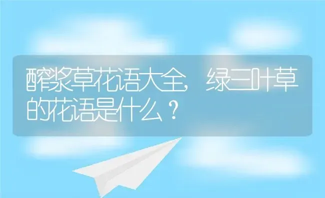 醡浆草花语大全,绿三叶草的花语是什么？ | 养殖科普