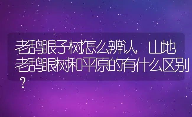 老鸹眼子树怎么辨认,山地老鸹眼树和平原的有什么区别？ | 养殖科普