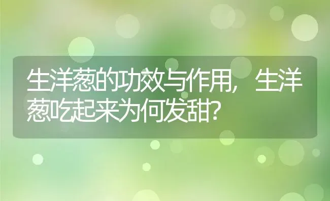 生洋葱的功效与作用,生洋葱吃起来为何发甜？ | 养殖科普