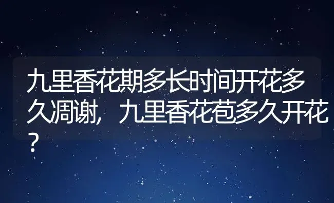 九里香花期多长时间开花多久凋谢,九里香花苞多久开花？ | 养殖科普