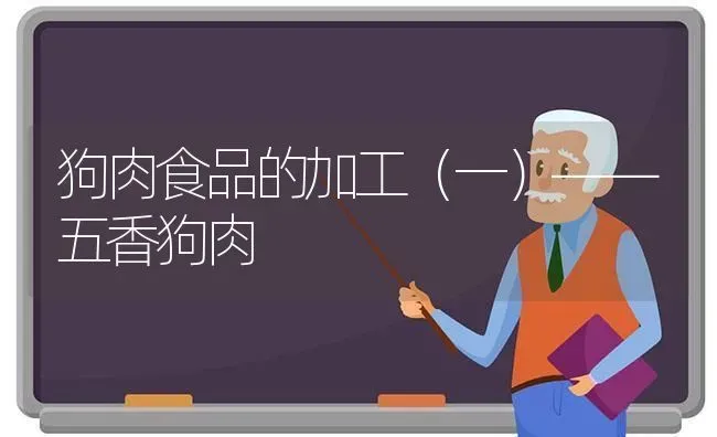 狗肉食品的加工(一)——五香狗肉 | 养殖技术大全