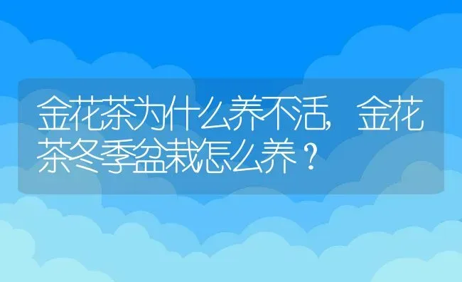 金花茶为什么养不活,金花茶冬季盆栽怎么养？ | 养殖学堂