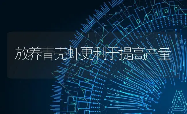 放养青壳虾更利于提高产量 | 养殖知识