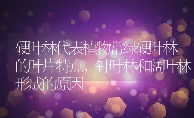 硬叶林代表植物常绿硬叶林的叶片特点,针叶林和阔叶林形成的原因 | 养殖学堂