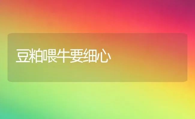 豆粕喂牛要细心 | 养殖技术大全