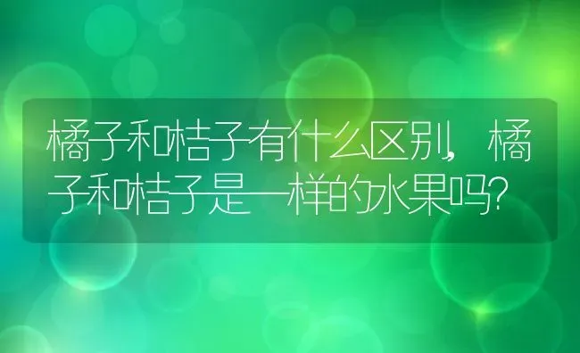 橘子和桔子有什么区别,橘子和桔子是一样的水果吗？ | 养殖科普