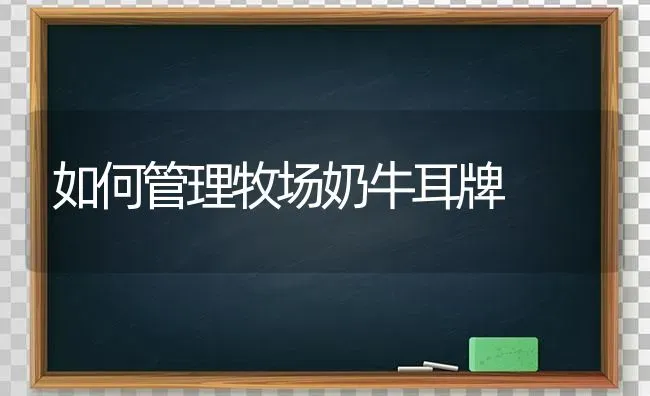 如何管理牧场奶牛耳牌 | 养殖技术大全