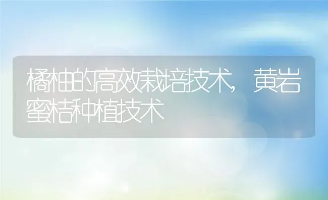 橘柚的高效栽培技术,黄岩蜜桔种植技术 | 养殖学堂