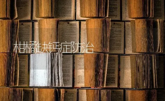 柑橘缺钙症防治 | 养殖技术大全