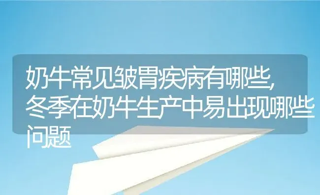 奶牛常见皱胃疾病有哪些,冬季在奶牛生产中易出现哪些问题 | 养殖学堂