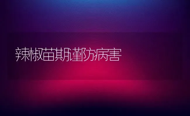 辣椒苗期谨防病害 | 养殖知识