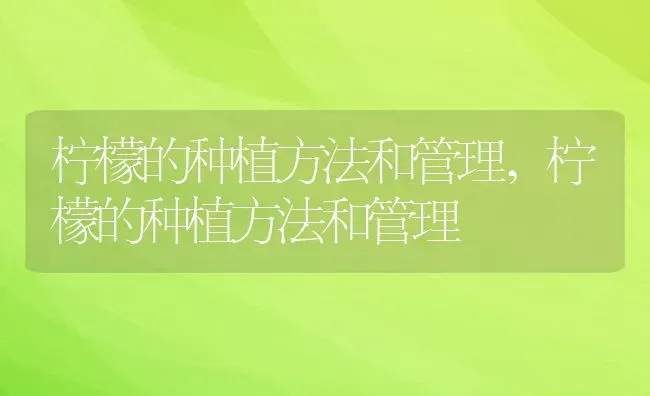 柠檬的种植方法和管理,柠檬的种植方法和管理 | 养殖科普