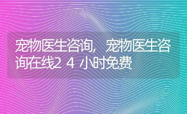 宠物医生咨询,宠物医生咨询在线24小时免费 | 养殖资料