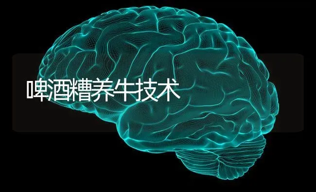 啤酒糟养牛技术 | 养殖技术大全