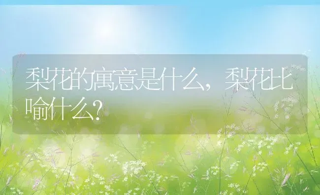 梨花的寓意是什么,梨花比喻什么？ | 养殖科普