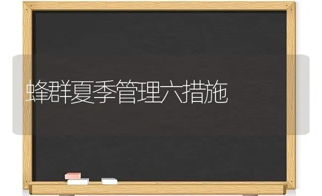 蜂群夏季管理六措施 | 养殖知识