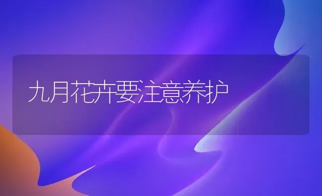 九月花卉要注意养护 | 养殖知识