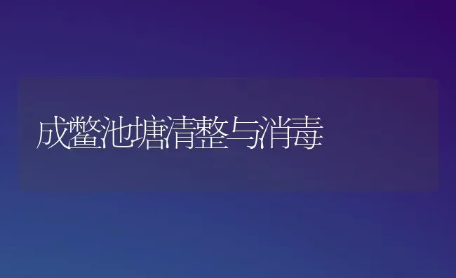 成鳖池塘清整与消毒 | 养殖知识