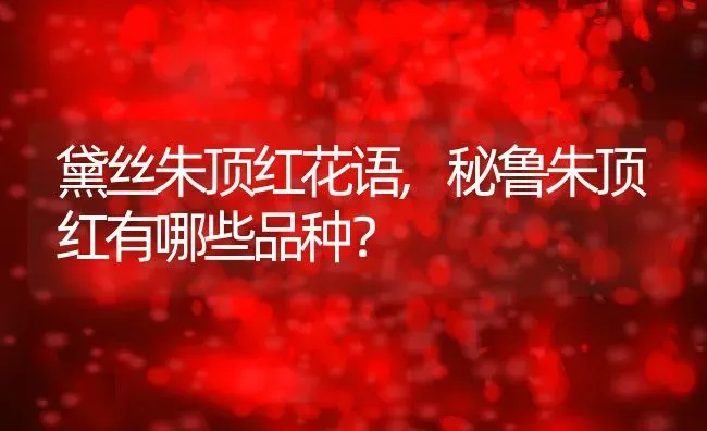 黛丝朱顶红花语,秘鲁朱顶红有哪些品种？ | 养殖科普