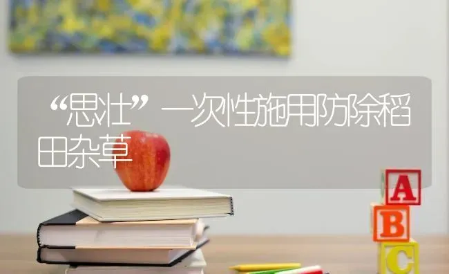 “思壮”一次性施用防除稻田杂草 | 养殖技术大全