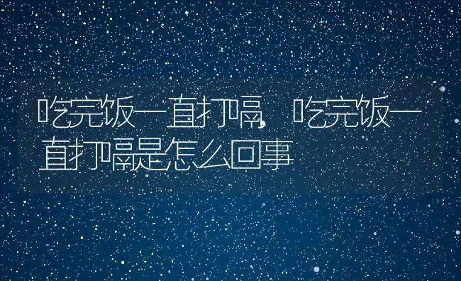 吃完饭一直打嗝,吃完饭一直打嗝是怎么回事 | 养殖科普