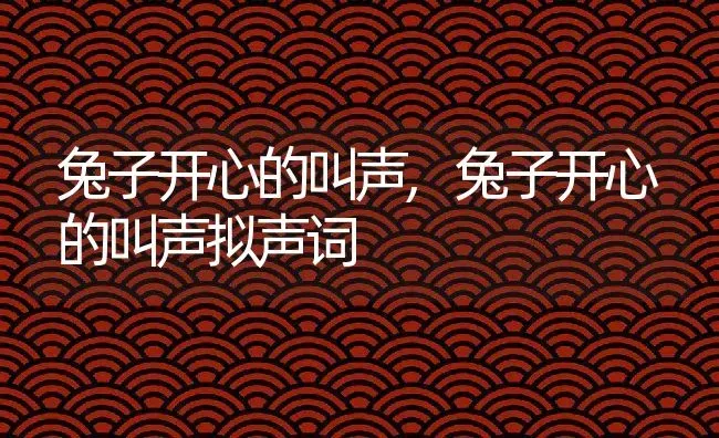 兔子开心的叫声,兔子开心的叫声拟声词 | 养殖资料