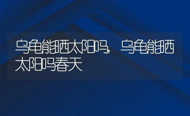 乌龟能晒太阳吗,乌龟能晒太阳吗春天 | 养殖科普