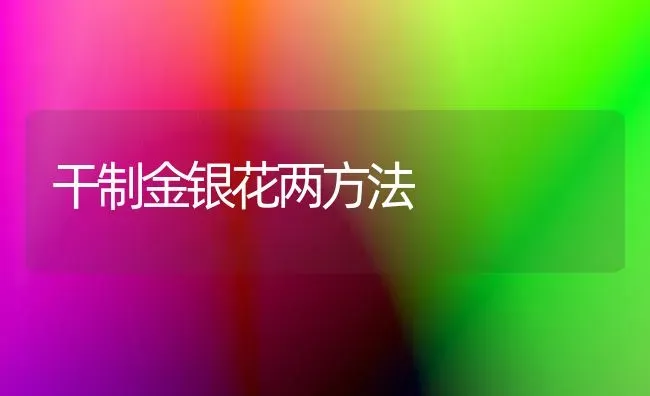 干制金银花两方法 | 养殖知识