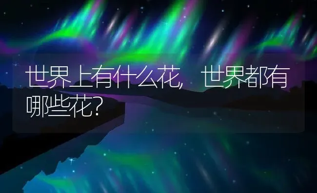 世界上有什么花,世界都有哪些花？ | 养殖科普