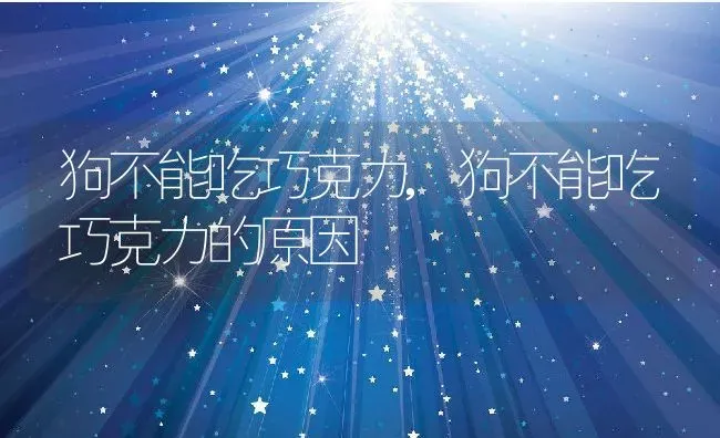 狗不能吃巧克力,狗不能吃巧克力的原因 | 养殖科普