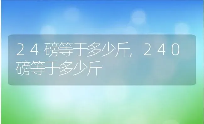 24磅等于多少斤,240磅等于多少斤 | 养殖科普