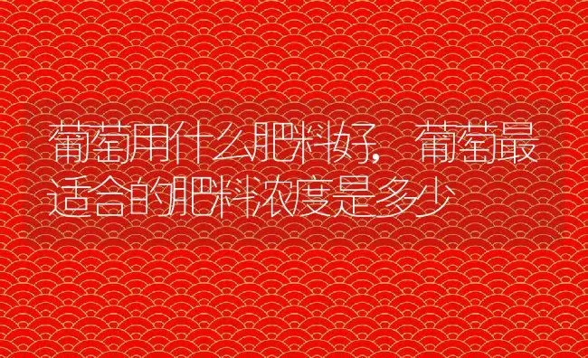 葡萄用什么肥料好,葡萄最适合的肥料浓度是多少 | 养殖学堂