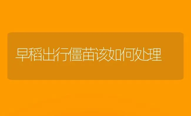 早稻出行僵苗该如何处理 | 养殖技术大全