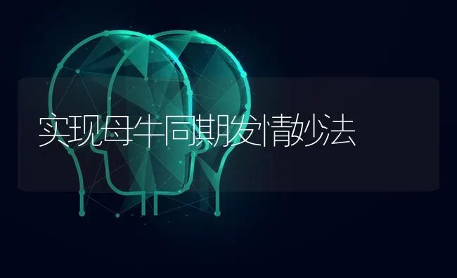 实现母牛同期发情妙法 | 养殖知识