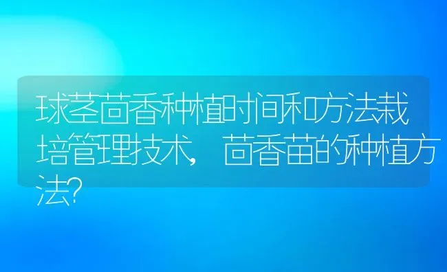 球茎茴香种植时间和方法栽培管理技术,茴香苗的种植方法？ | 养殖科普