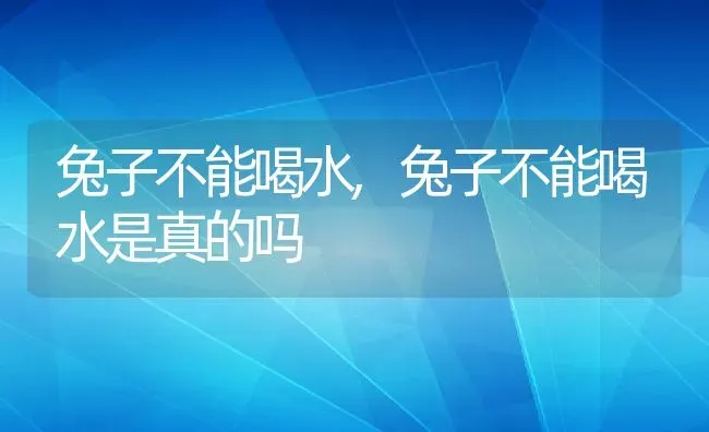 兔子不能喝水,兔子不能喝水是真的吗 | 养殖科普
