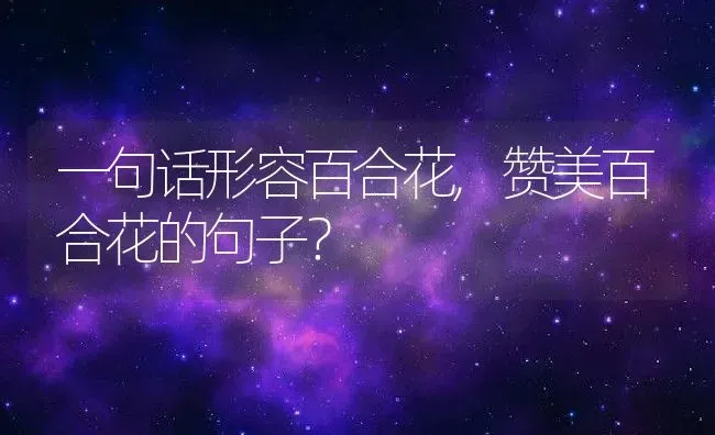 一句话形容百合花,赞美百合花的句子？ | 养殖学堂