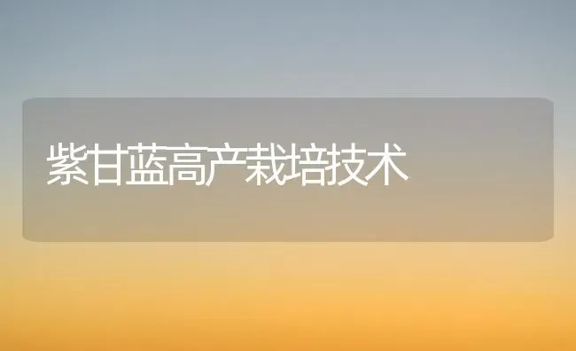 紫甘蓝高产栽培技术 | 养殖技术大全