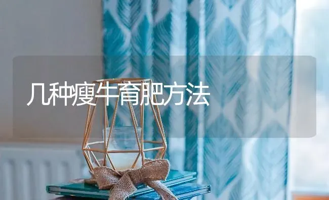 几种瘦牛育肥方法 | 养殖技术大全