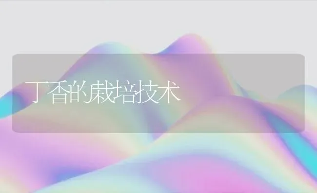 丁香的栽培技术 | 养殖技术大全