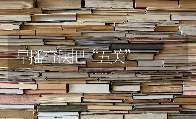 旱播育秧把“五关” | 养殖知识