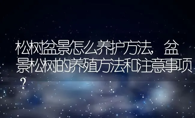 松树盆景怎么养护方法,盆景松树的养殖方法和注意事项？ | 养殖科普