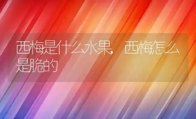 西梅是什么水果,西梅怎么是脆的 | 养殖学堂