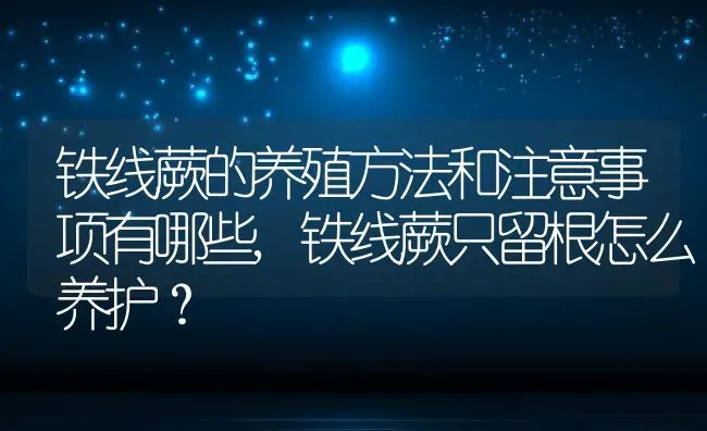 铁线蕨的养殖方法和注意事项有哪些,铁线蕨只留根怎么养护？ | 养殖科普