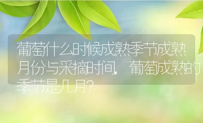 葡萄什么时候成熟季节成熟月份与采摘时间,葡萄成熟的季节是几月？ | 养殖科普