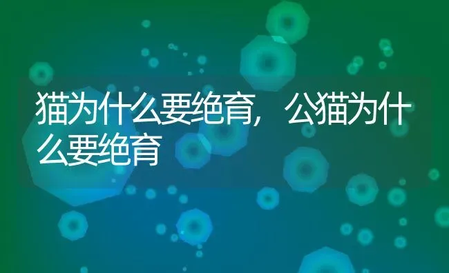 猫为什么要绝育,公猫为什么要绝育 | 养殖科普