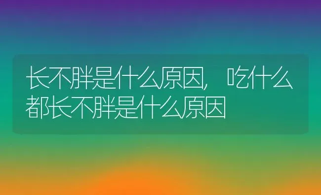 长不胖是什么原因,吃什么都长不胖是什么原因 | 养殖科普